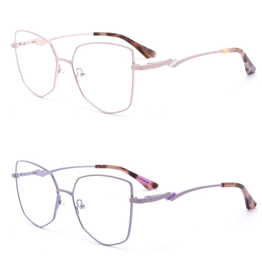 Women Metal Special Design Temples Optical Frames