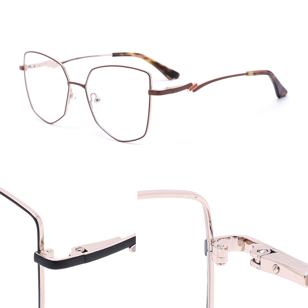 Women Metal Special Design Temples Optical Frames