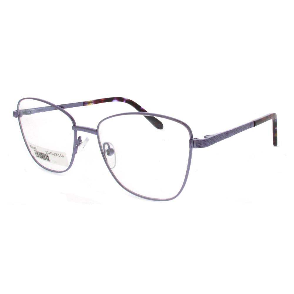 XD2183 Cheap Metal Optical Glasses Frames With Special Temple Pattern