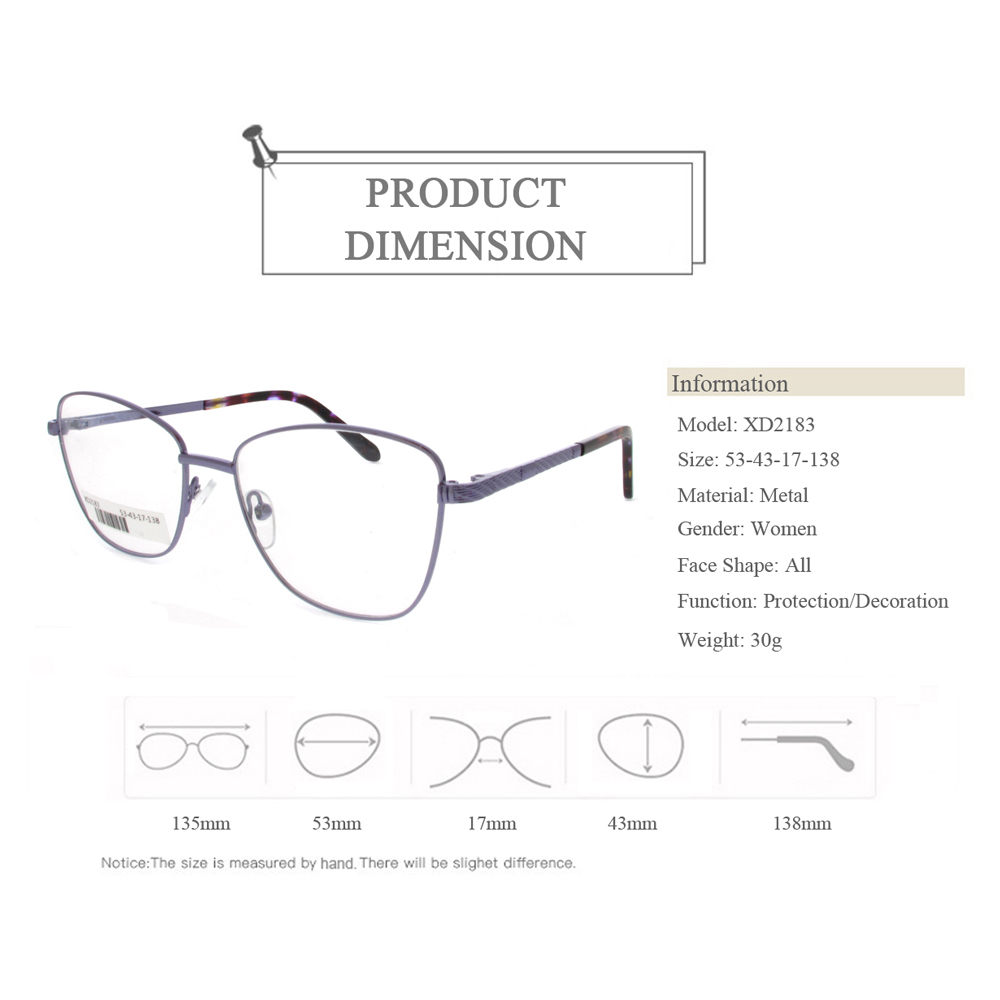 XD2183 Cheap Metal Optical Glasses Frames With Special Temple Pattern