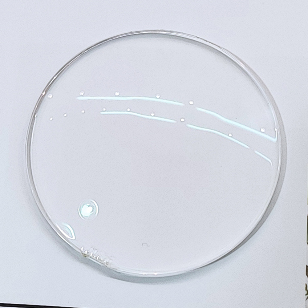 1.591 PC Polycarbonate Invisible Lens