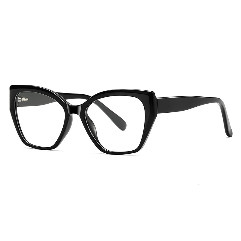 TYSD-LS008 New Popular Ready Stock TR+CP Cat Eye Eyeglasses Optical Frames for All Face Women Glasses Spectacles Eyewear